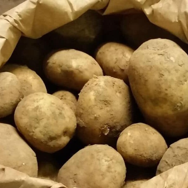  5 kg Maris Piper